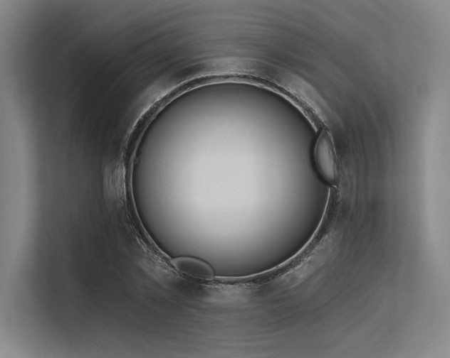 X0000113570781200909181246
