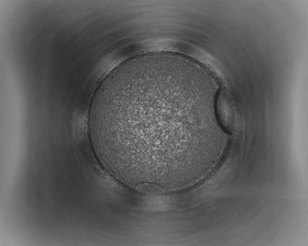 X0000113570785200909181246