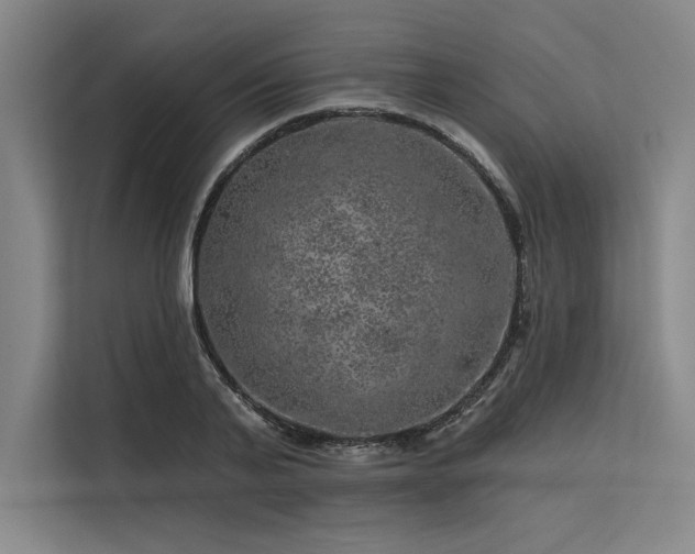 X0000113570791200909181246