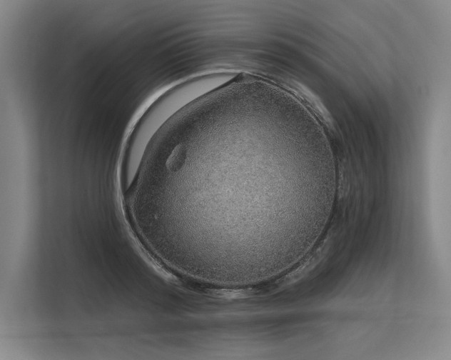 X0000113570796200909181246