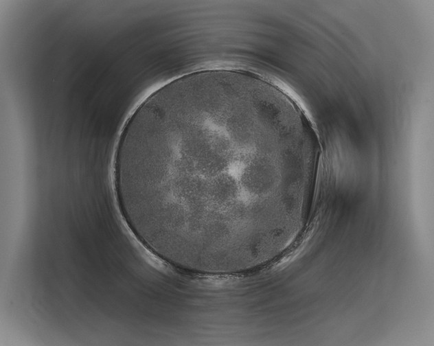 X0000113570803200909181246