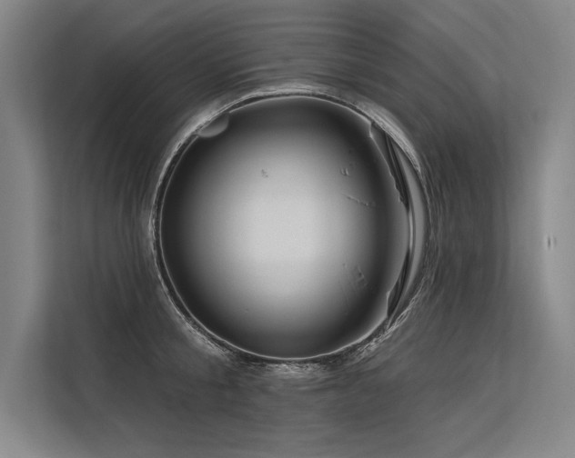 X0000113570805200909181246