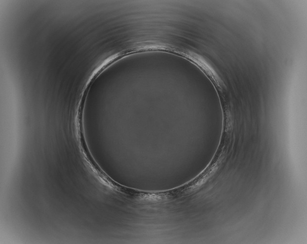 X0000113570806200909181246