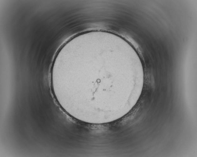 X0000113570807200909181246