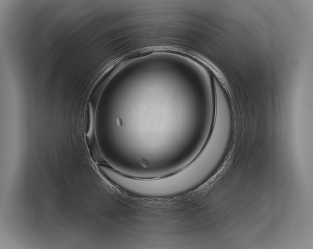 X0000113570809200909181246