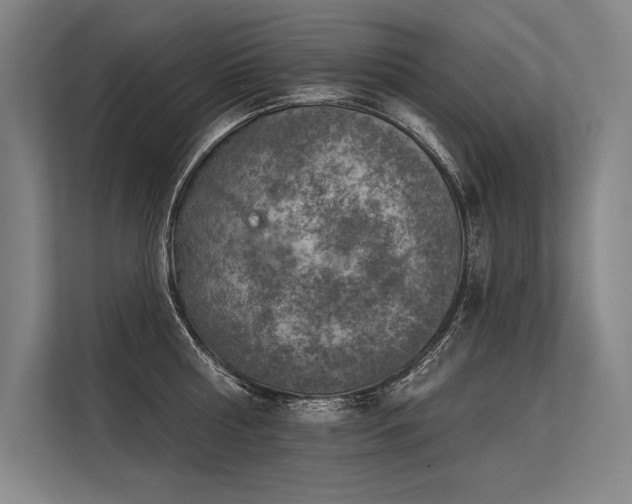 X0000113570810200909181246