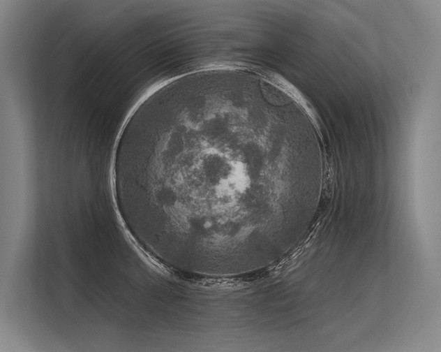 X0000113570811200909181246