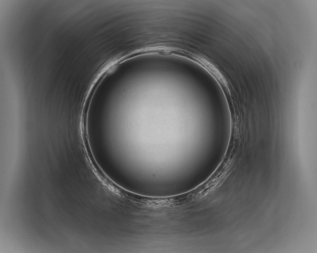 X0000113570813200909181246