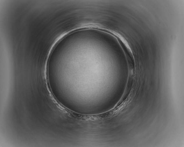 X0000113570815200909181246