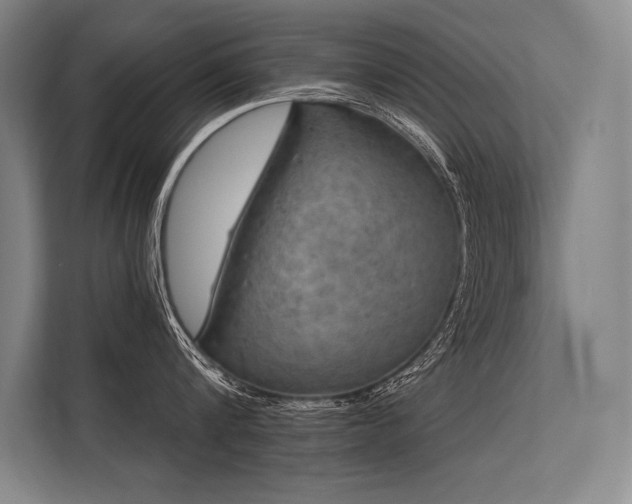 X0000113570816200909181246