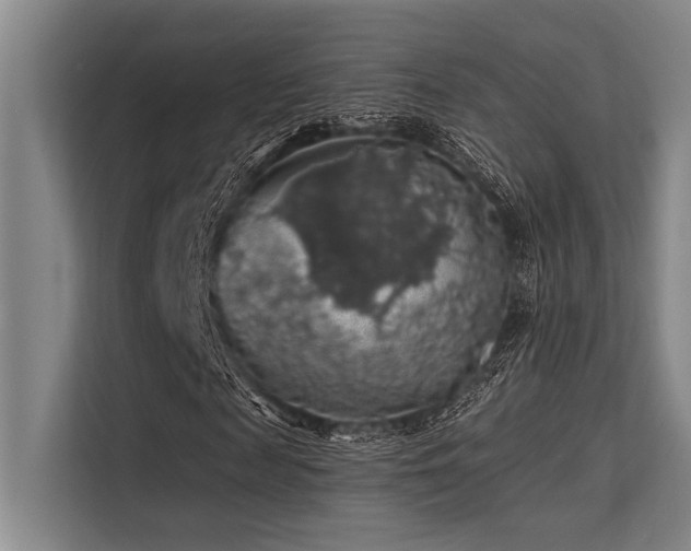 X0000113570817200909181245