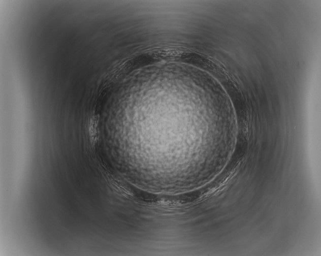 X0000113570818200909181245