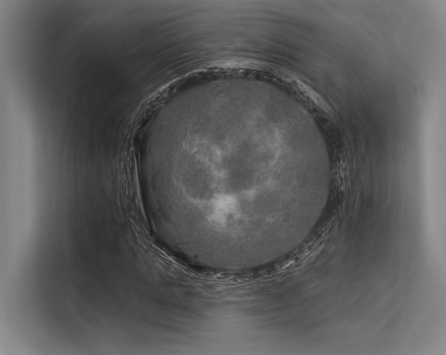 X0000113570821200909181245