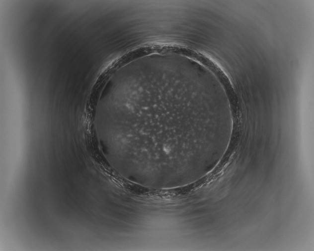 X0000113570823200909181245