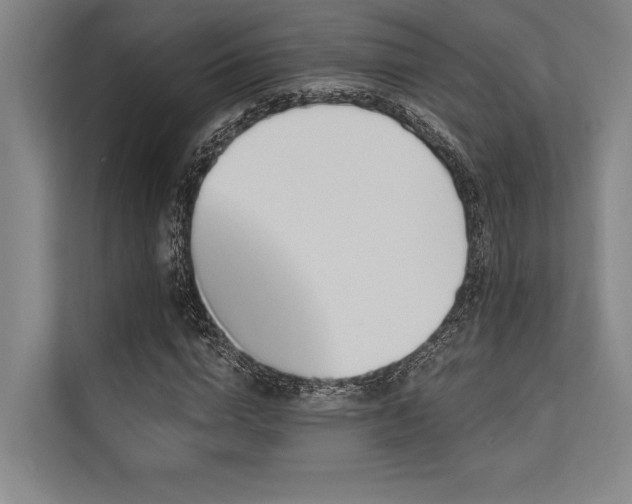 X0000113570824200909181245