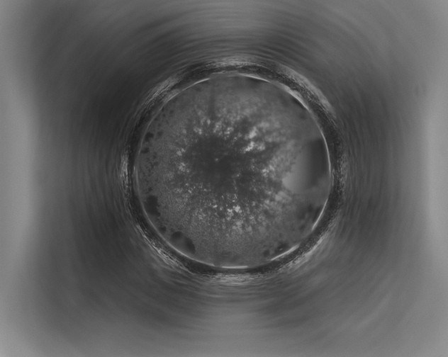 X0000113570825200909181245