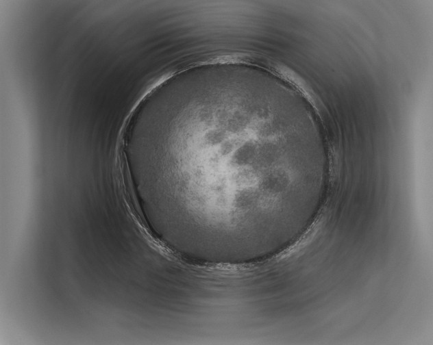 X0000113570827200909181245