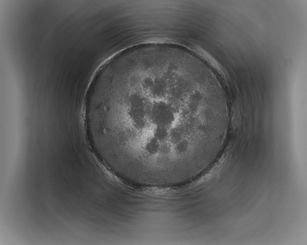 X0000113570831200909181245