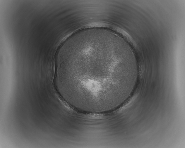 X0000113570833200909181245