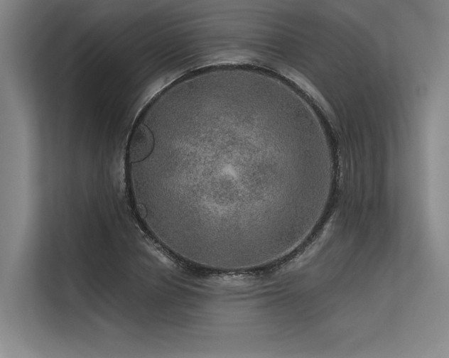 X0000113570834200909181245