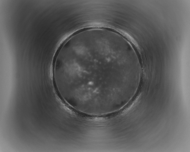 X0000113570839200909181245