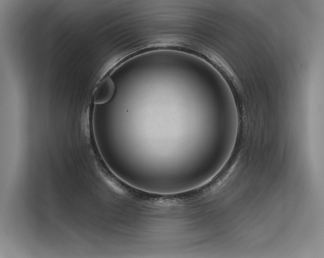 X0000113570842200909181245