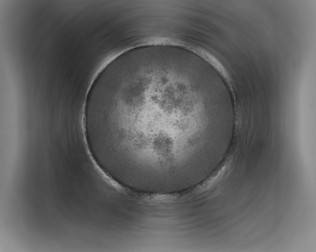X0000113570847200909181245