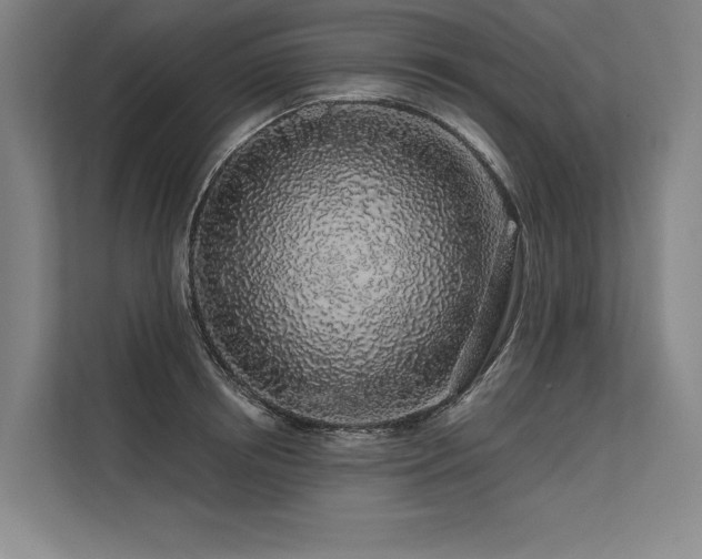 X0000113570850200909181246
