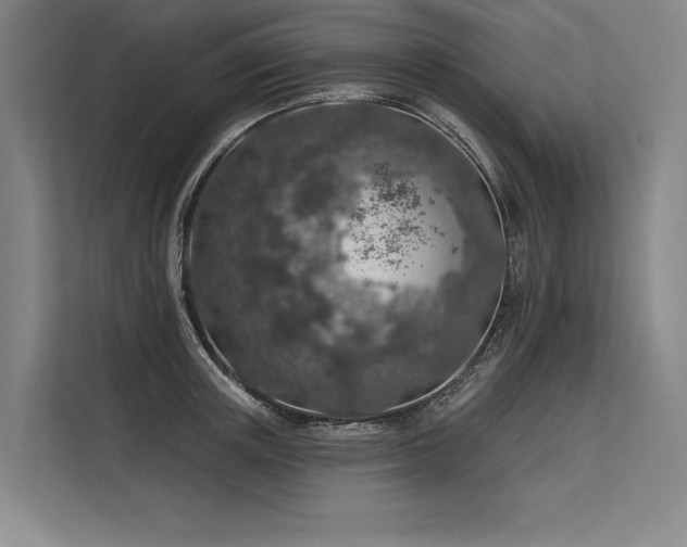 X0000113570851200909181246