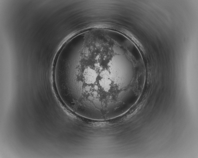 X0000113570853200909181246
