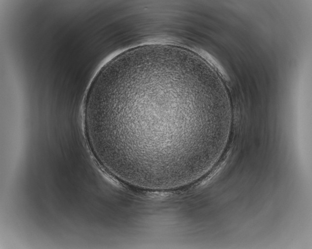 X0000113570854200909181246