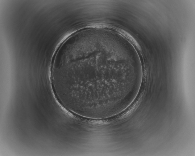 X0000113570855200909181246