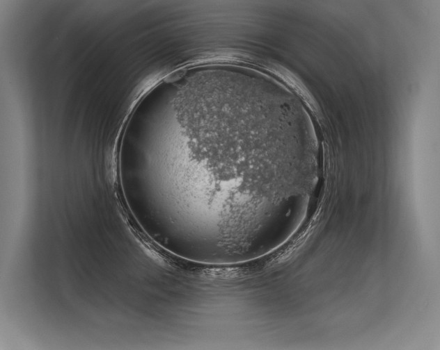 X0000113570858200909181246
