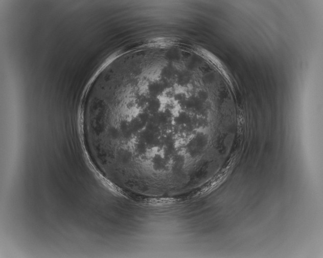 X0000113570859200909181246