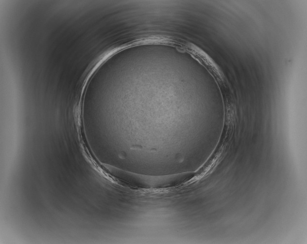 X0000113570860200909181246