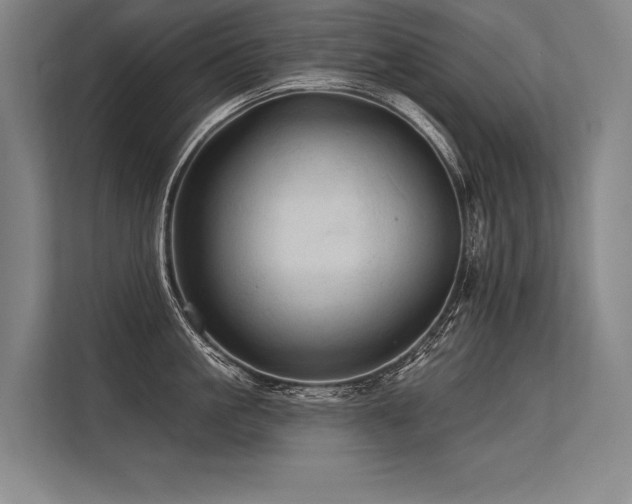 X0000113570861200909181246