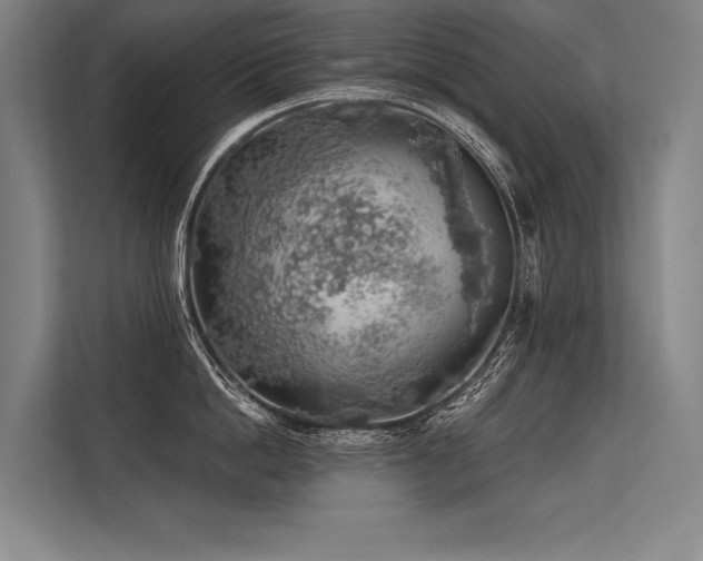X0000113570862200909181246