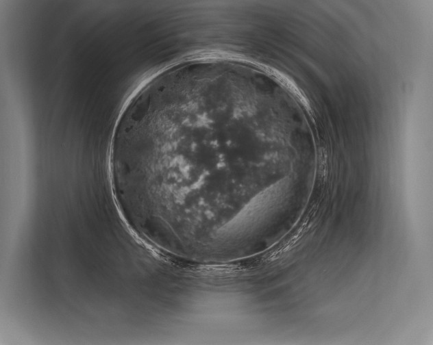 X0000113570863200909181246