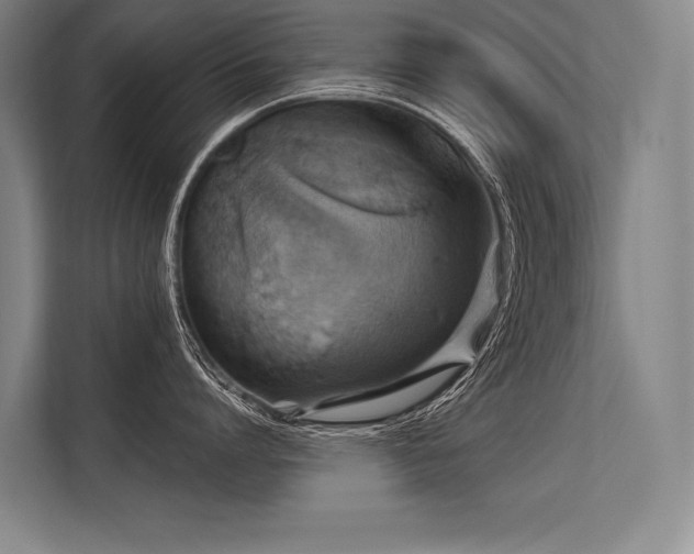 X0000113570864200909181246
