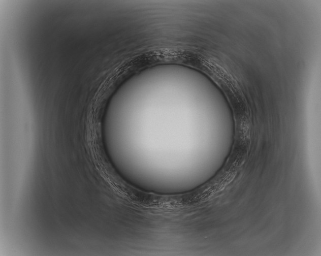 X0000113570865200909181245