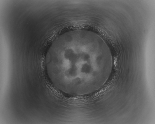 X0000113570867200909181245