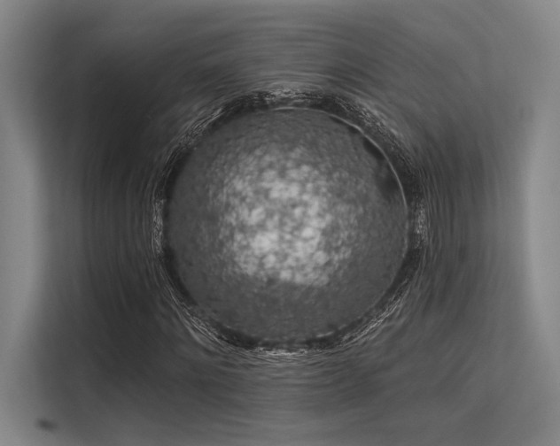 X0000113570868200909181245