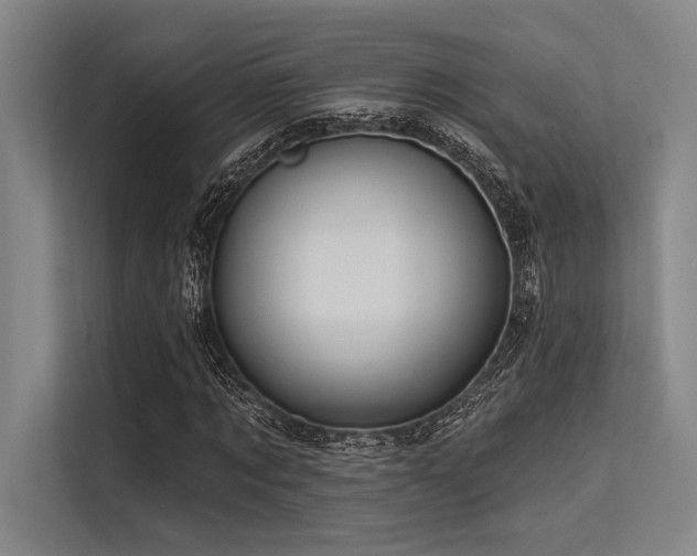 X0000113570869200909181245