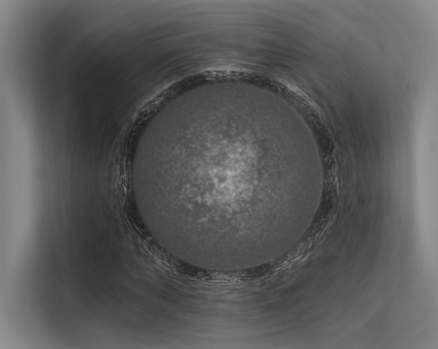 X0000113570870200909181245