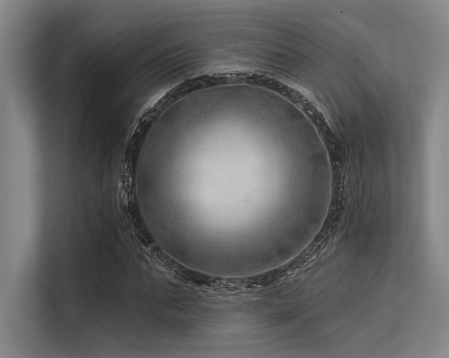 X0000113570871200909181245