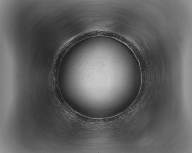 X0000113570872200909181245