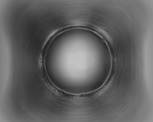 X0000113570875200909181245
