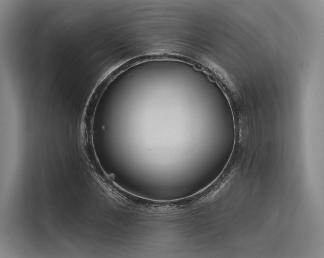 X0000113570876200909181245