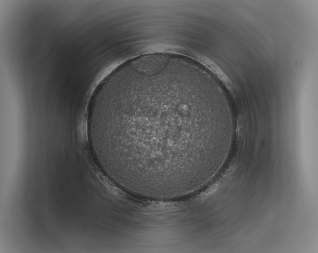 X0000113570877200909181245