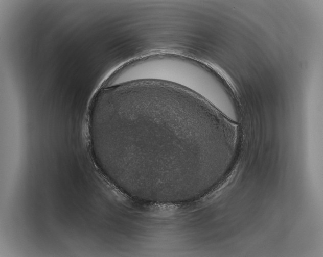 X0000113570878200909181245